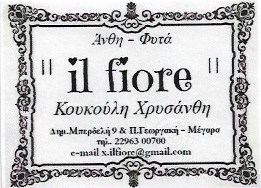 IL FIORE - ΑΝΘΟΠΩΛΕΙΟ ΜΕΓΑΡΑ - ΣΤΟΛΙΣΜΟΙ ΓΑΜΩΝ ΜΕΓΑΡΑ - ΣΤΟΛΙΣΜΟΙ ΒΑΠΤΙΣΕΩΝ ΜΕΓΑΡΑ -ΑΝΘΗ ΦΥΤΑ ΜΕΓΑΡΑ